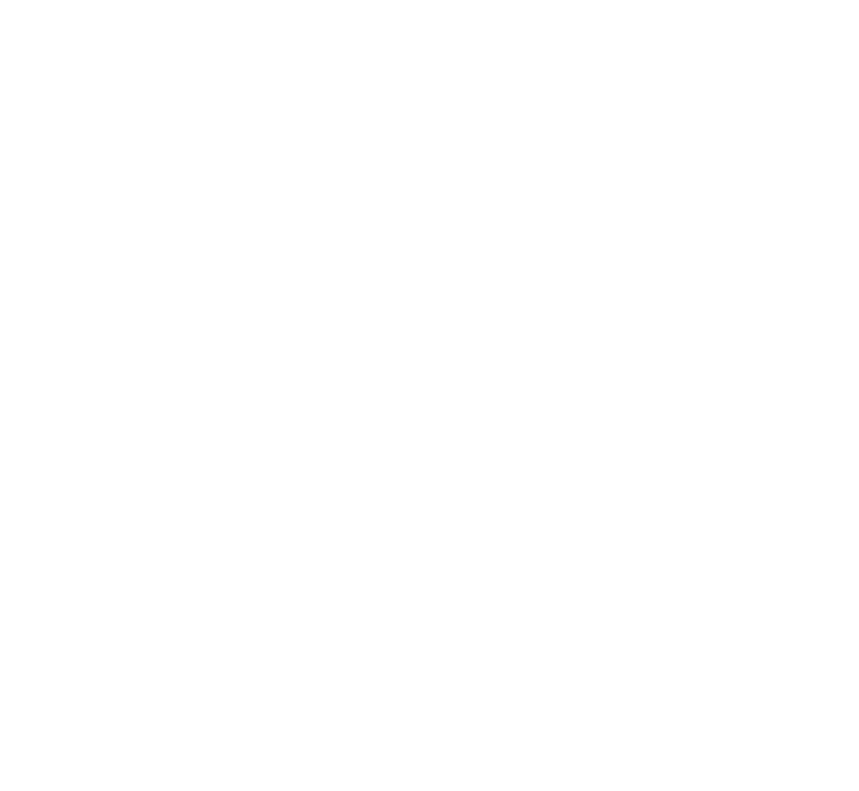 AWS Logo